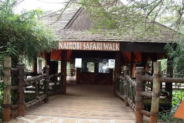Safari Walk